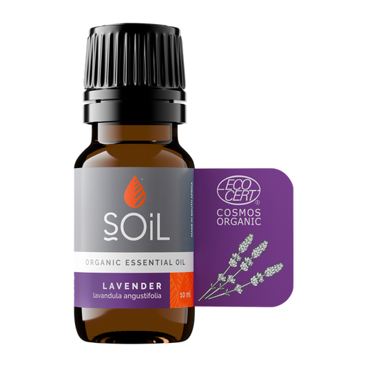 SOiL Lavender Essential Oil 10ml - Self-care Sanctuary
