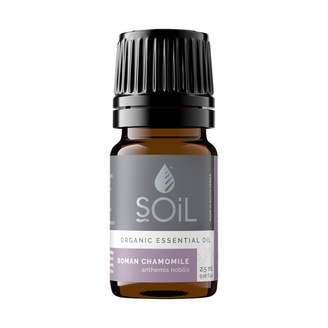 SOiL Roman Chamomile Essential Oil 2.5ml - Self-care Sanctuary